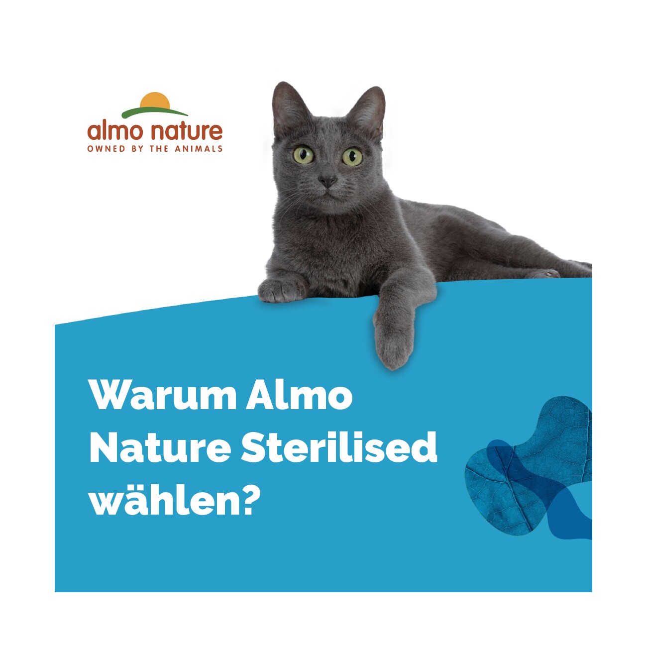 Almo nature Sterilised 30x70 g Huhn