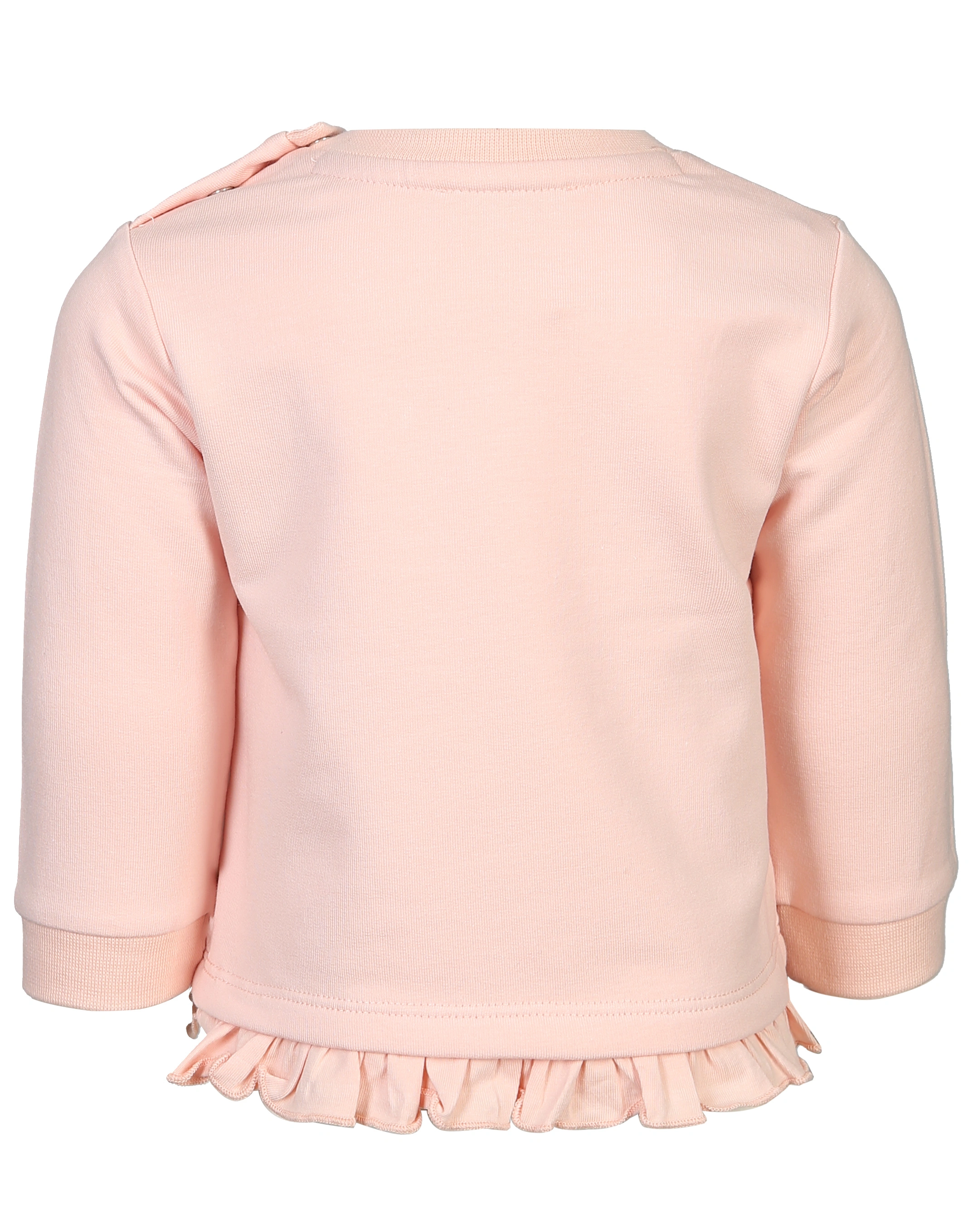 Sweatshirt BIRD'S TWITTERING BASIC in peachy keen