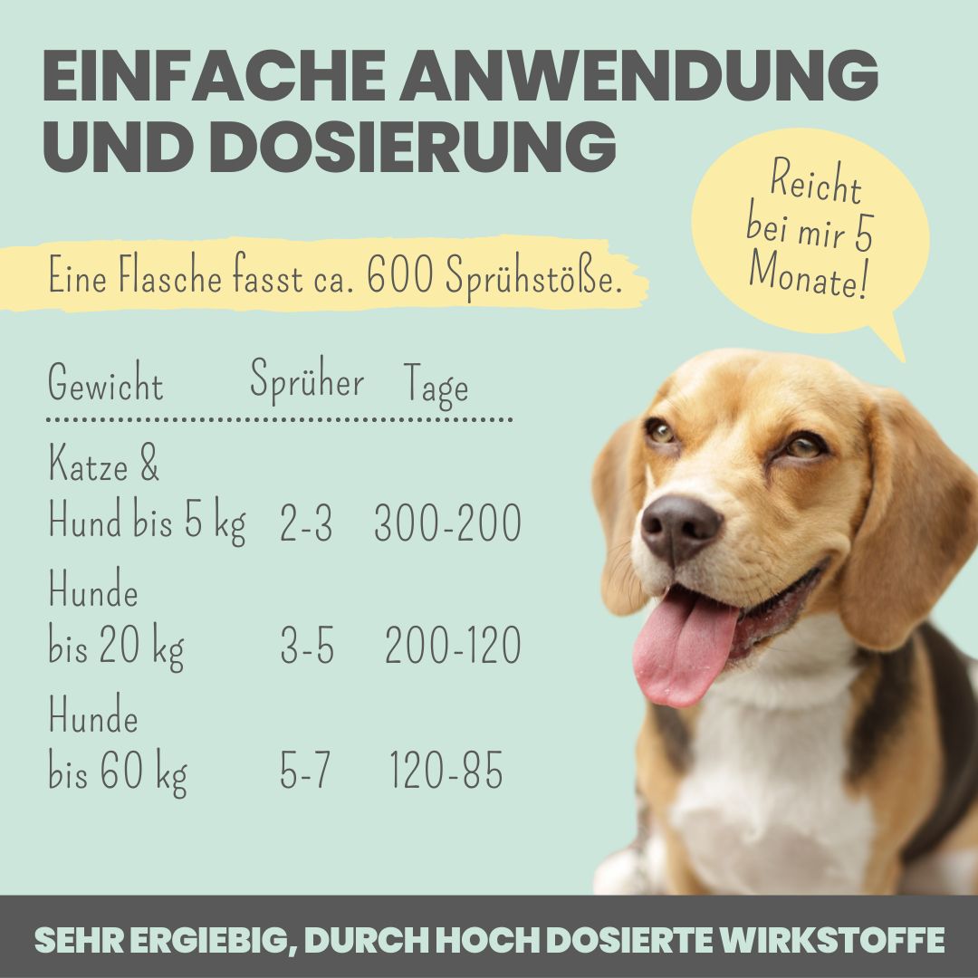 noms+ Dental-Spray bei Zahnstein für Hunde und Katzen [Jahresvorrat]