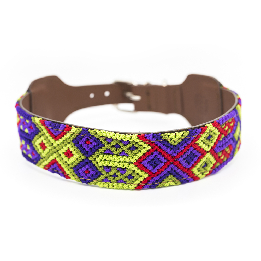 Taco de coleira Barking Gaucho para cães