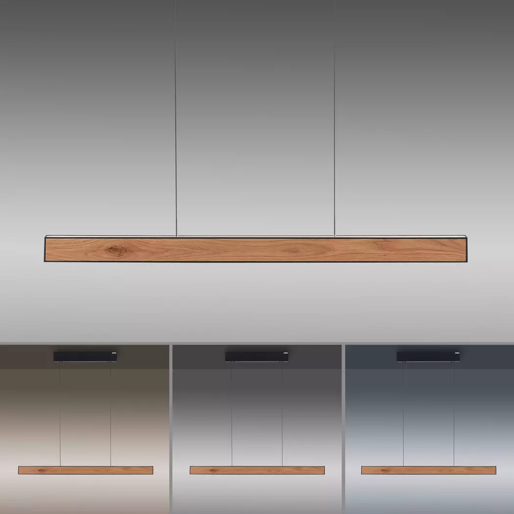 LED-Pendelleuchte Pure-E-Motion