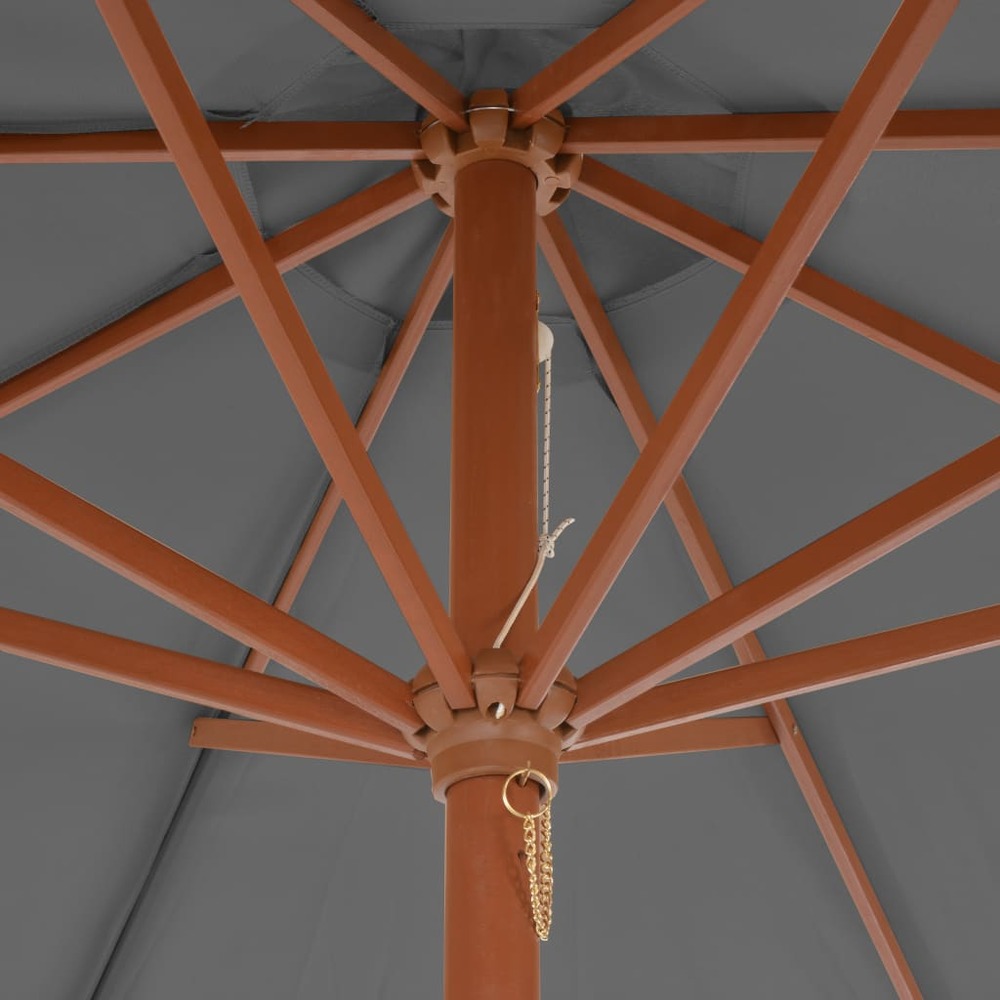 Parasol d'e x térieur avec mât en bois 300 cm anthracite