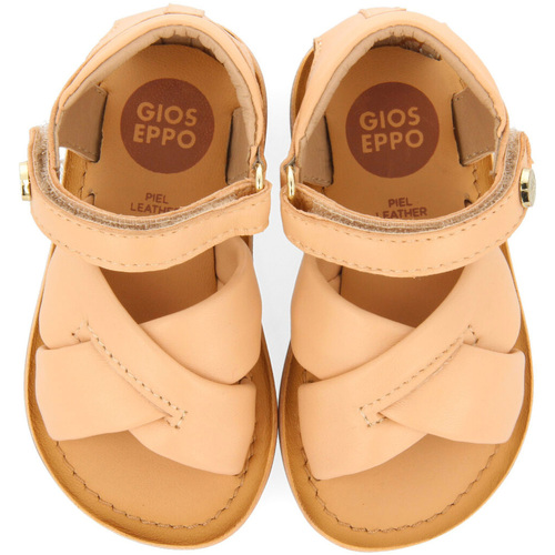Gioseppo - ANORI Otros