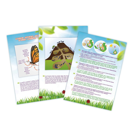 Explorateur insectes