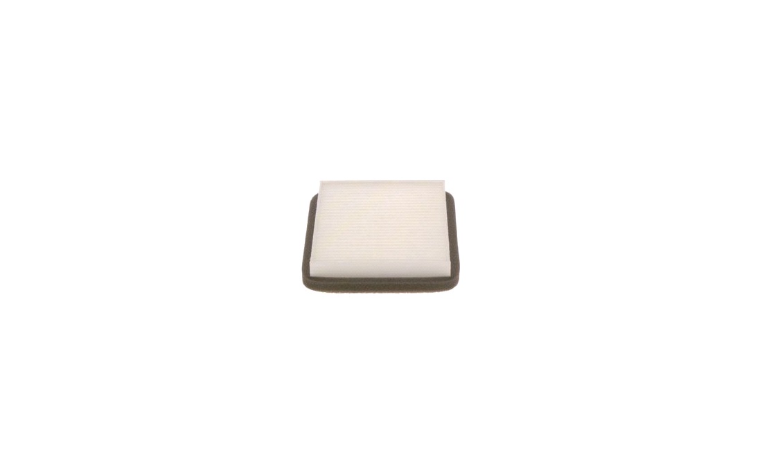 Pollenfilter, Pollenfilter