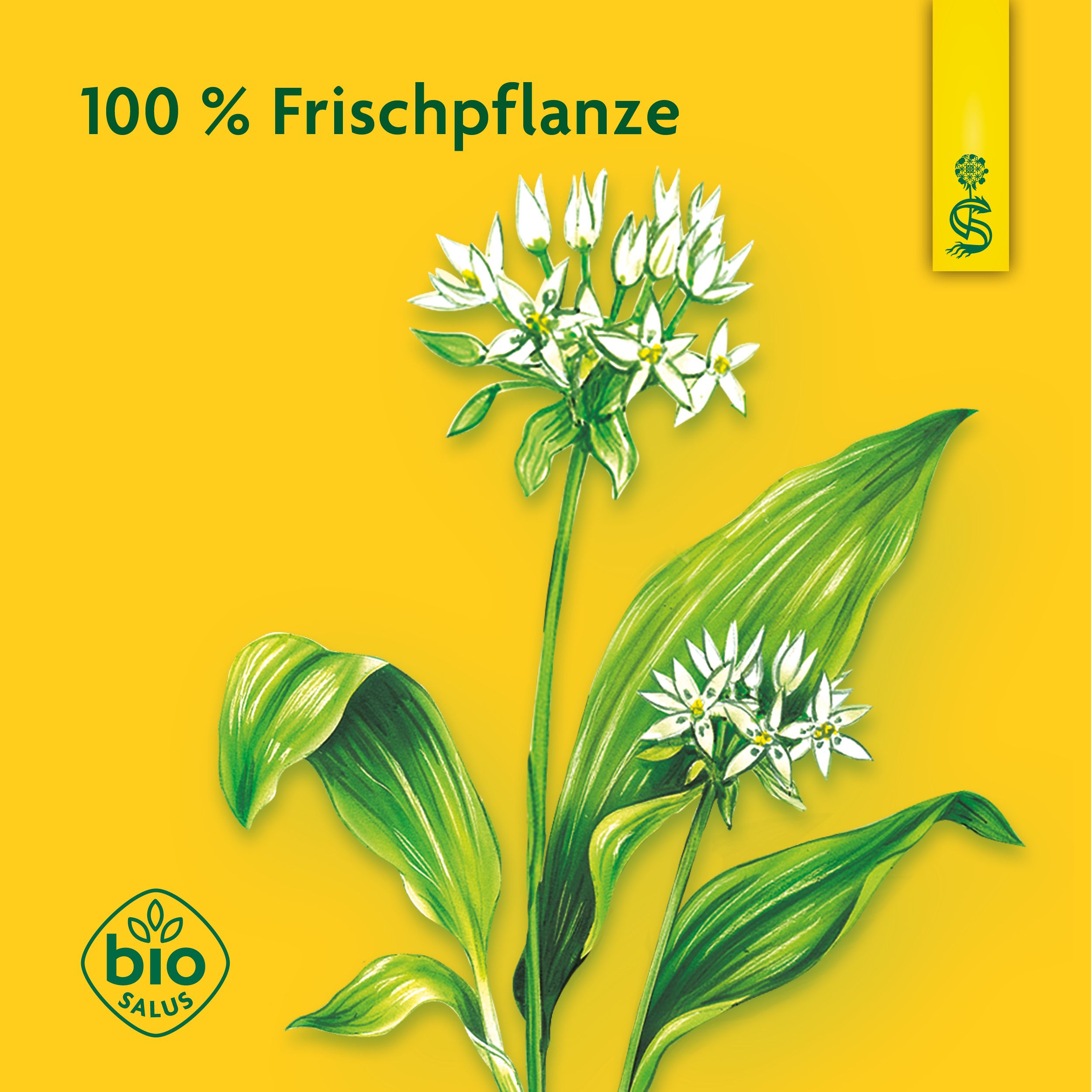 Schoenenberger® naturreiner Pflanzensaft Bärlauch