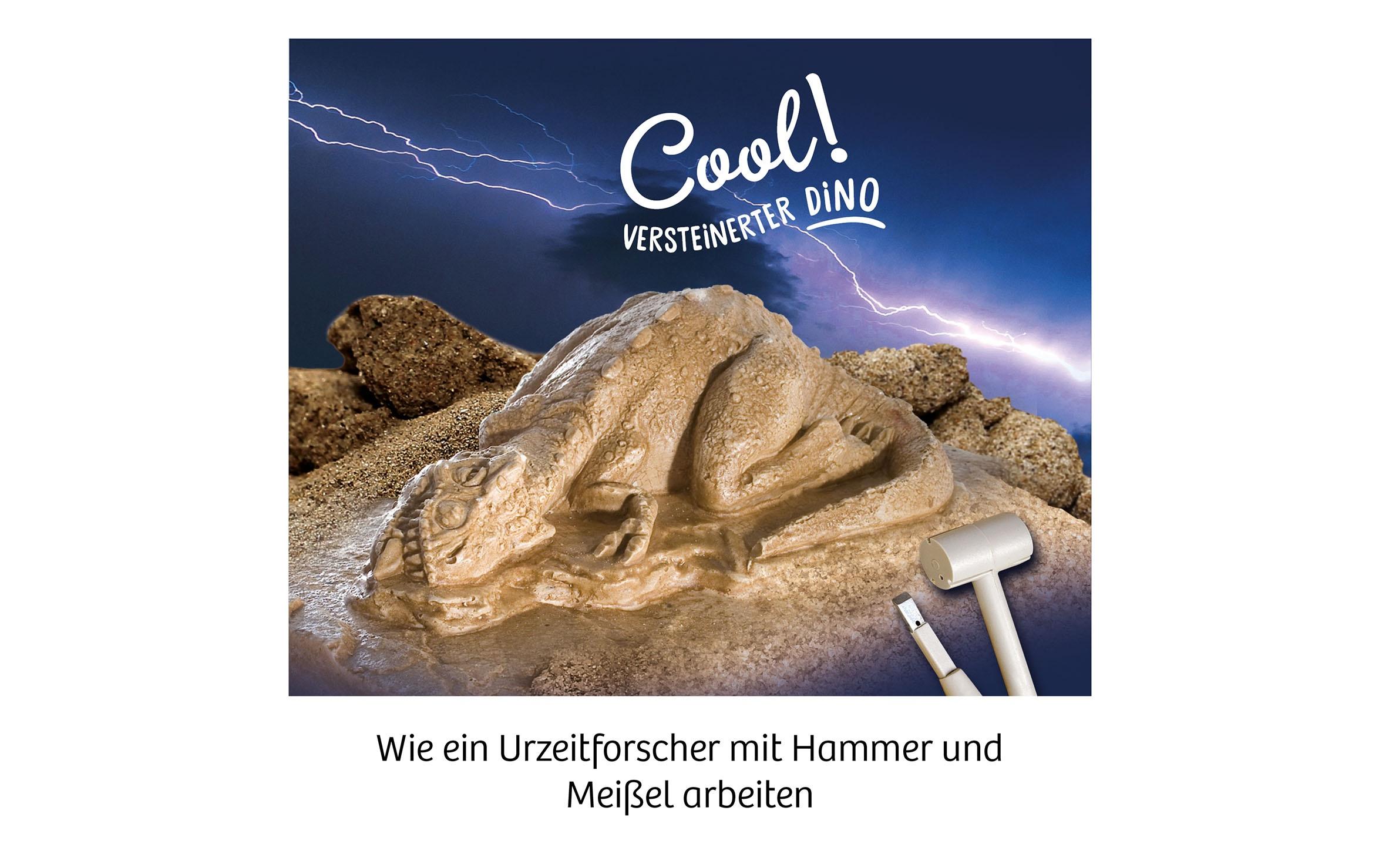 Experimentierkasten T-Rex 3DT-Rex-Skelett zum Ausgraben