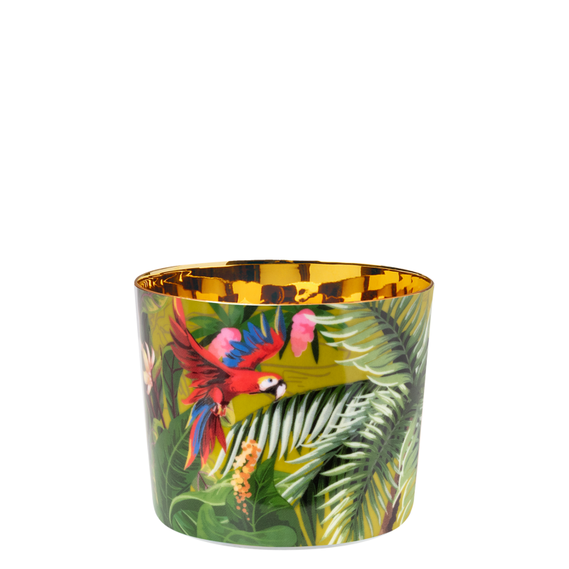 SIP OF GOLD · PARAÍSO