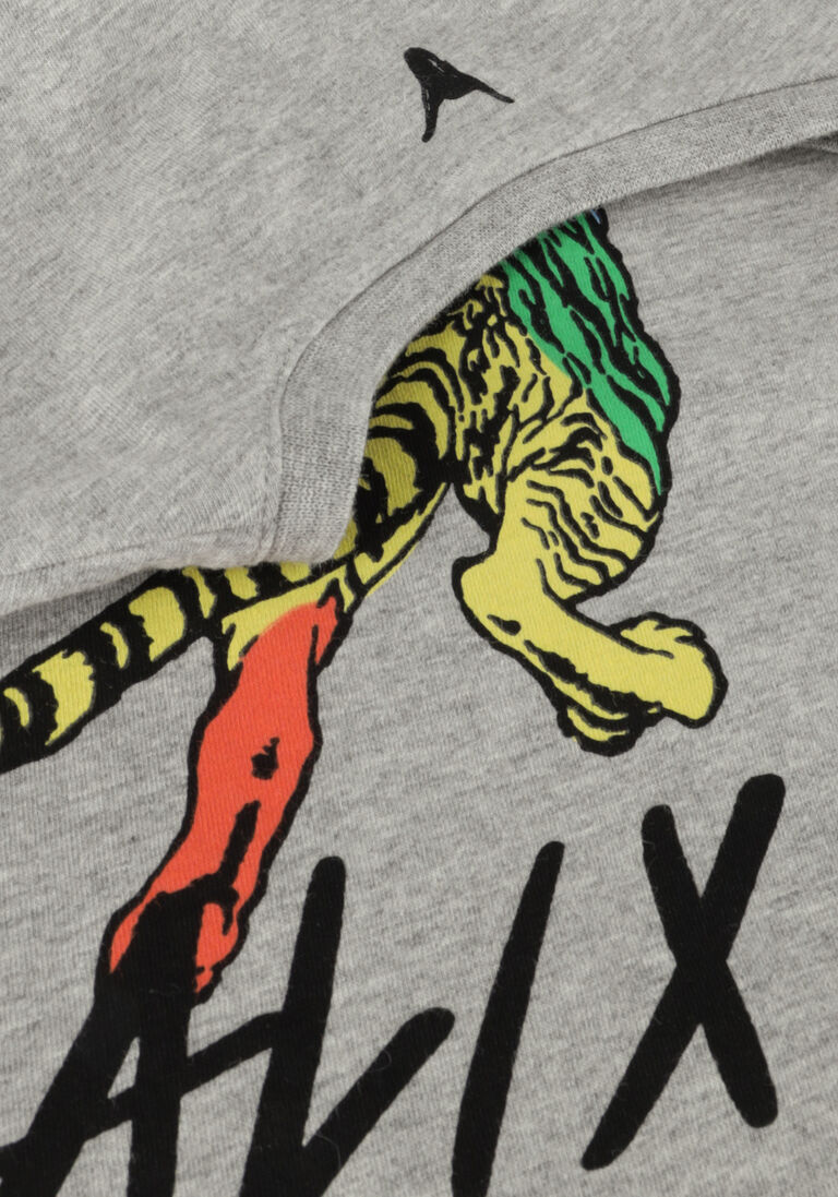 ALIX MINI grijze alix mini t-shirt knitted tiger t-shirt