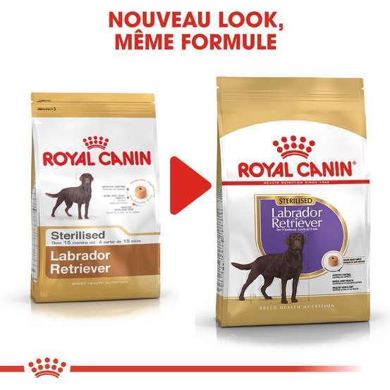 Croquettes chien Labrador Sterilised plus de 15 mois 12kg