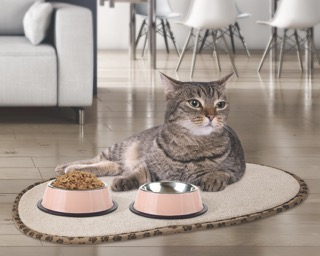 (30x54) Pet Mat Mikrofaser Haustier Matte Rutschfeste Futternapf Unterlage Futtermatte (VHGVACIND0246) - Beige