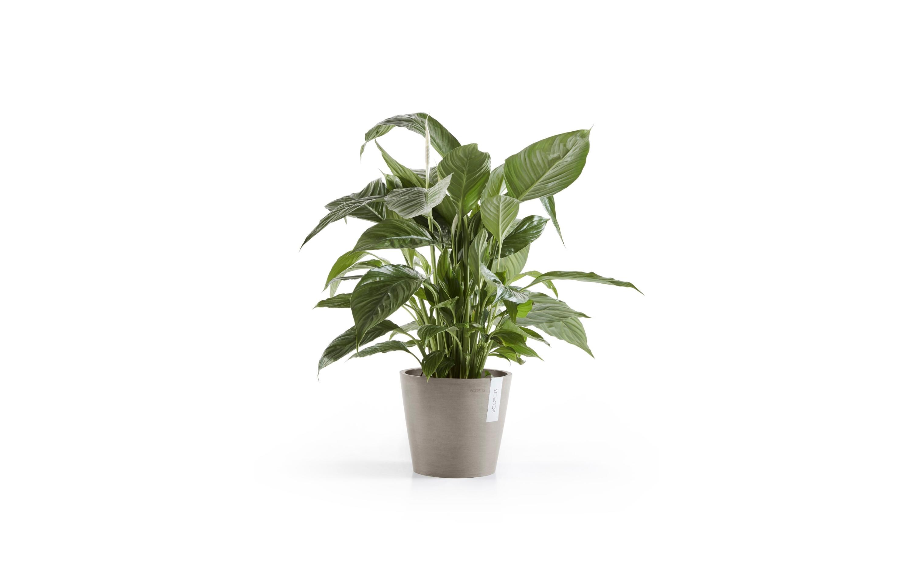 Pflanzentopf Amsterdam 20, French TaupeRobuster und langlebiger Blumentopf