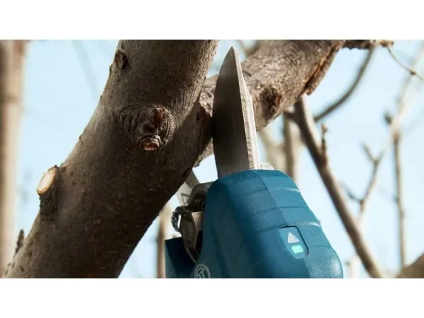 Bosch BOSCH.SEKATOR 12V 25mm PRO PRUNER SOLO B06019K1020 - SOLO