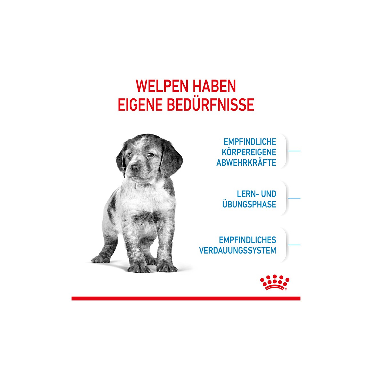 ROYAL CANIN Medium Puppy 4 kg