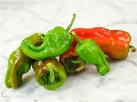 All Nature Capsicum Chili 'Pimento de padrón' 10,5 cm Chili 'Pimiento de Padrón' Ø10,5 cm
