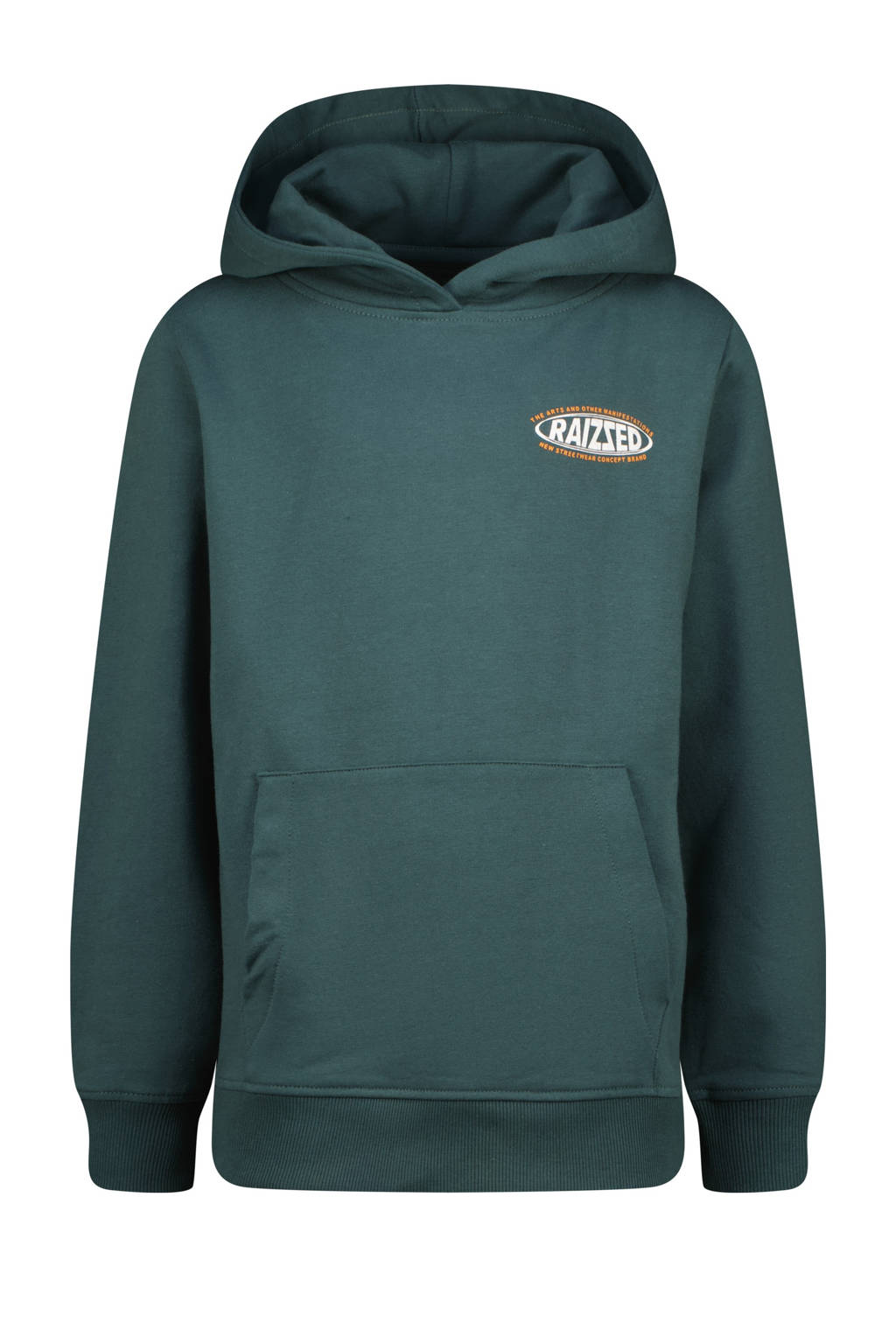 Raizzed hoodie Nice met backprint donkergroen