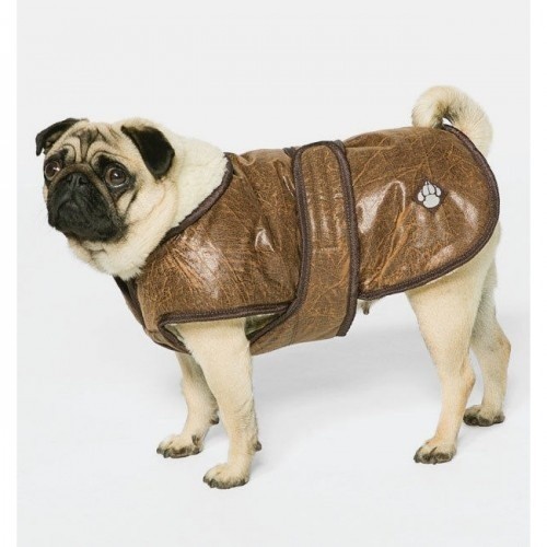 Casaco Waggles da Danish Design Pet Products, marrom