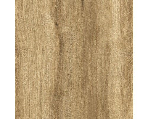 Porseleinen terrastegel Limewood Roble gerectificeerde rand 60 x 60 x 2 cm