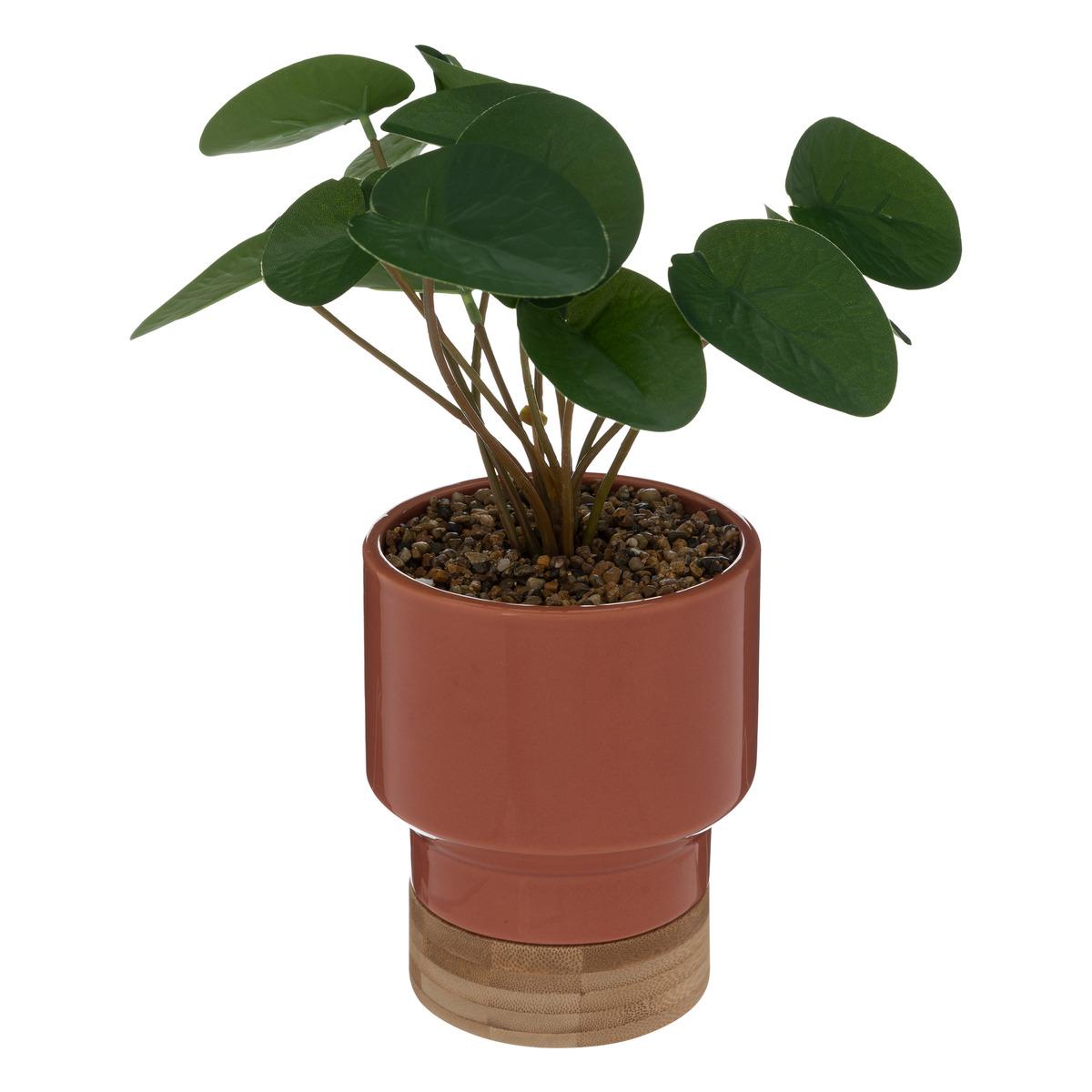 PLANTE POT CERAMIQUE PECHE H.26CM