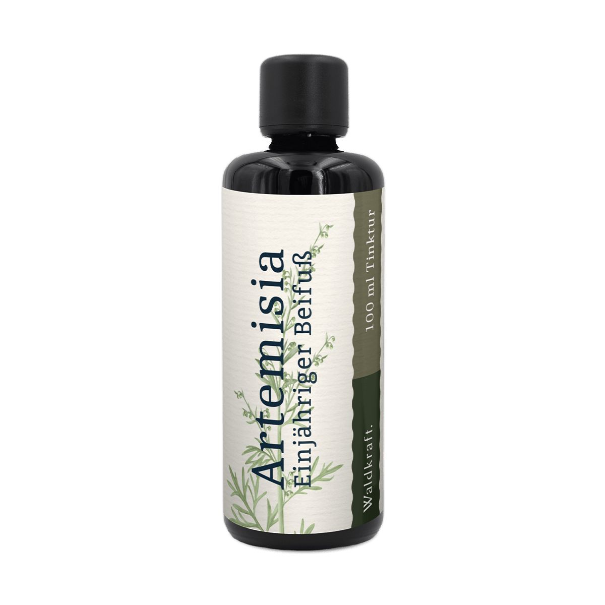 Waldkraft Beifußkraut Artemisia