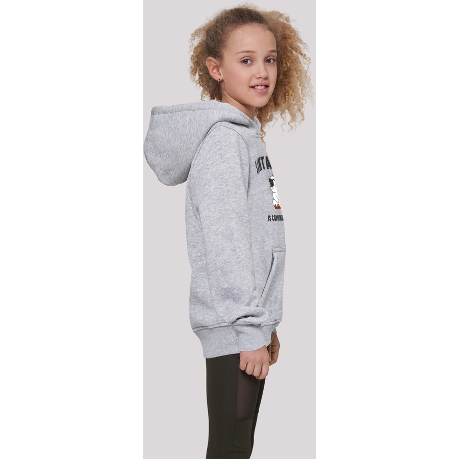 F4NT4STIC Hoodie Santa Paws Christmas Cat heather grey
