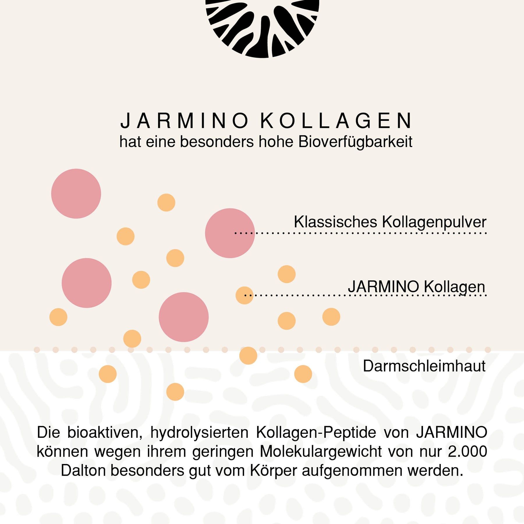 JARMINO Bio Fischknochenbrühe