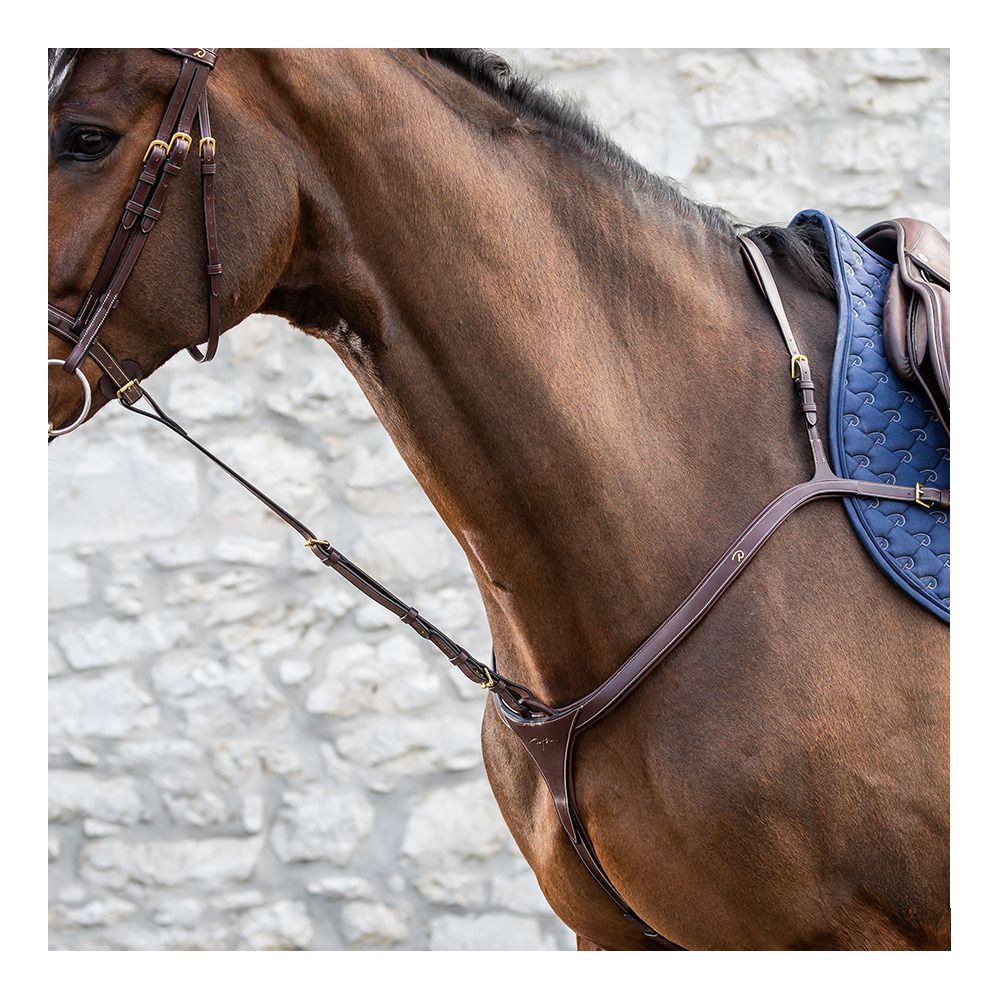 Dy'on D COLLECTION - Fourchette de martingale fixe brun