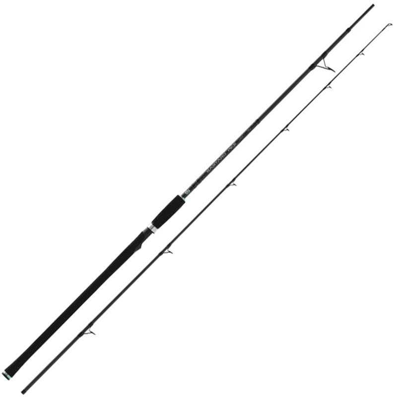 Canne Spinning Stucki Fishing Bastard Pike Heavy