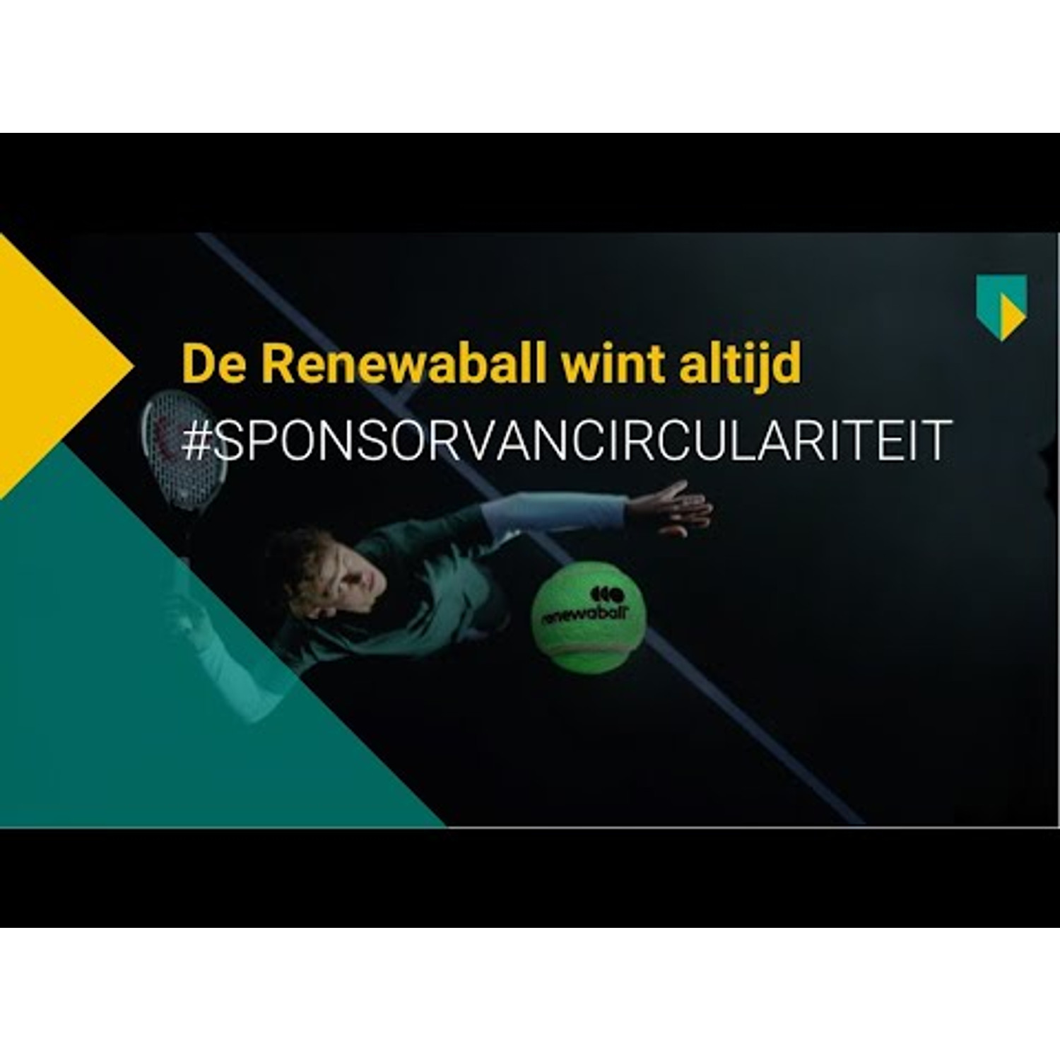 Renewaball 24x3 St. (6 Dozijn)