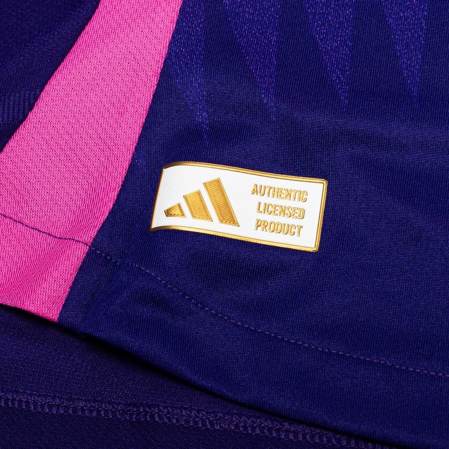 Allemagne Maillot Extérieur 2024/25 Authentic