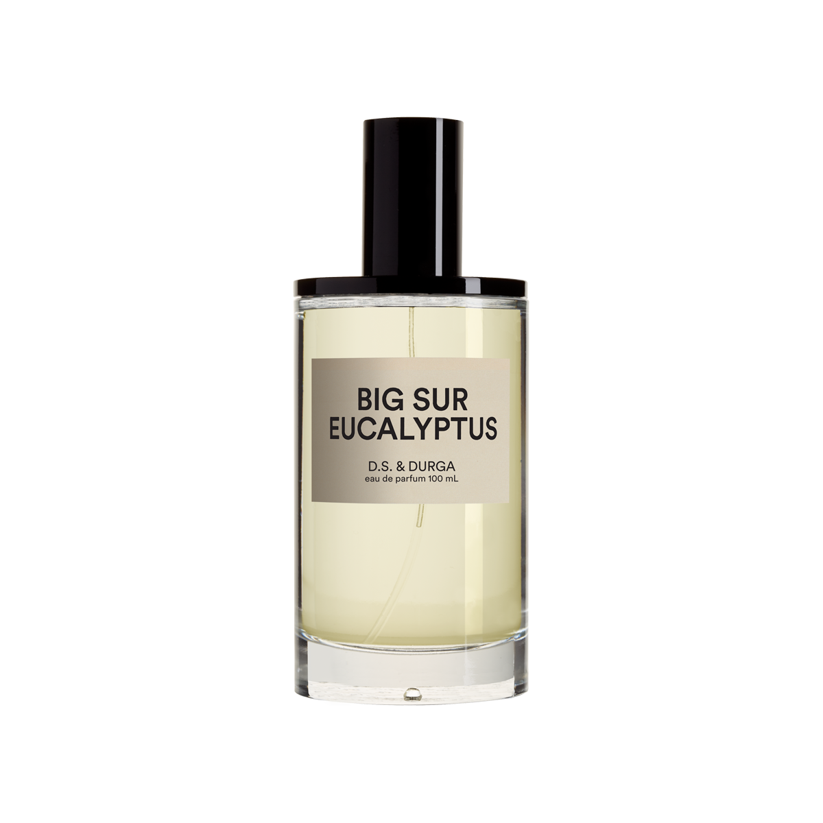 Big Sur Eucalyptus Eau de Parfum 100ml