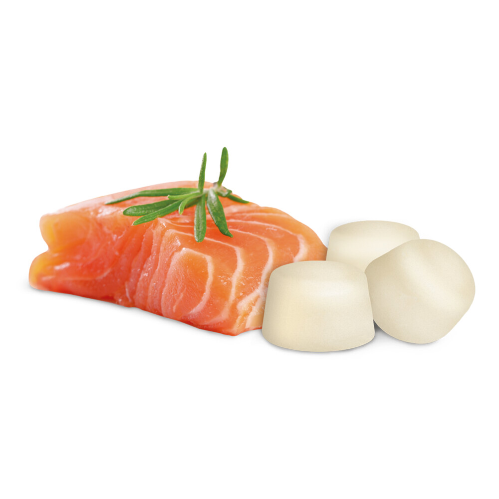 Beaphar Schapenvet Bonbons Zalm245 gr