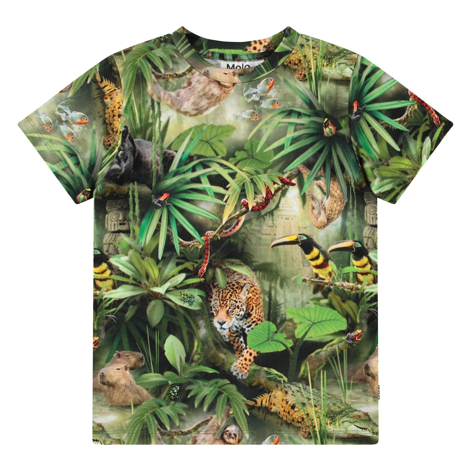 Ralphie - Jungle Animals