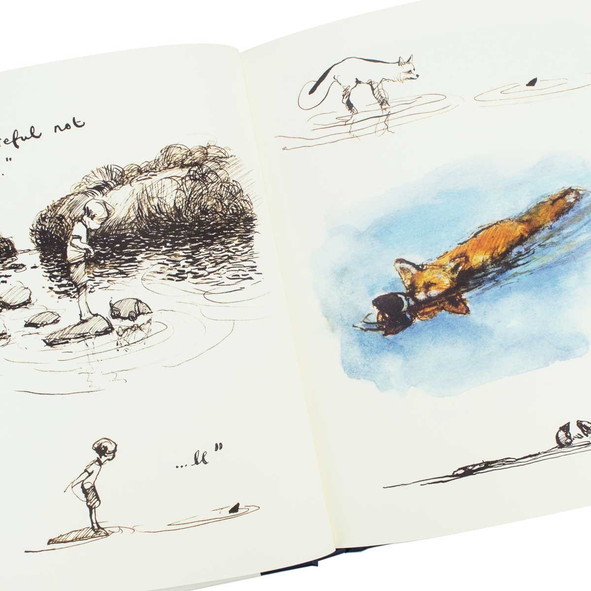 The Boy, the Mole, the Fox and the Horse (Hardback)