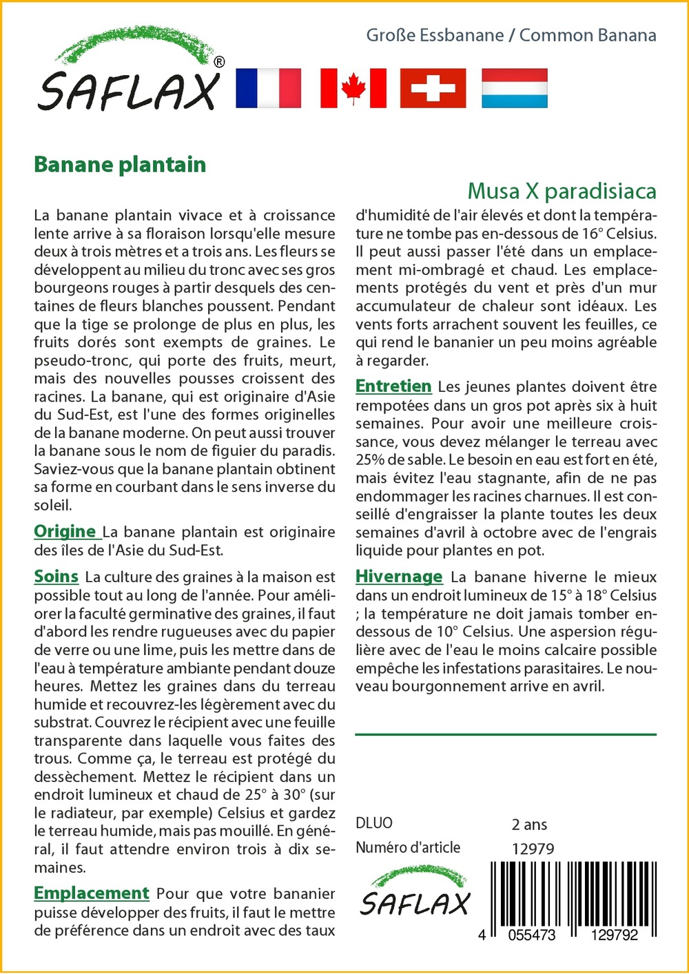 Kit cadeau - banane plantain - 10 graines - musa x paradisiaca