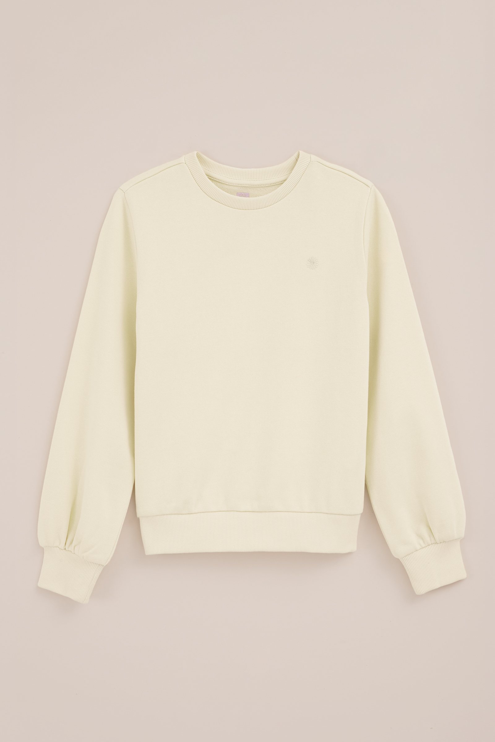 Meisjes sweater met embroidery WE Fashion Lichtgeel