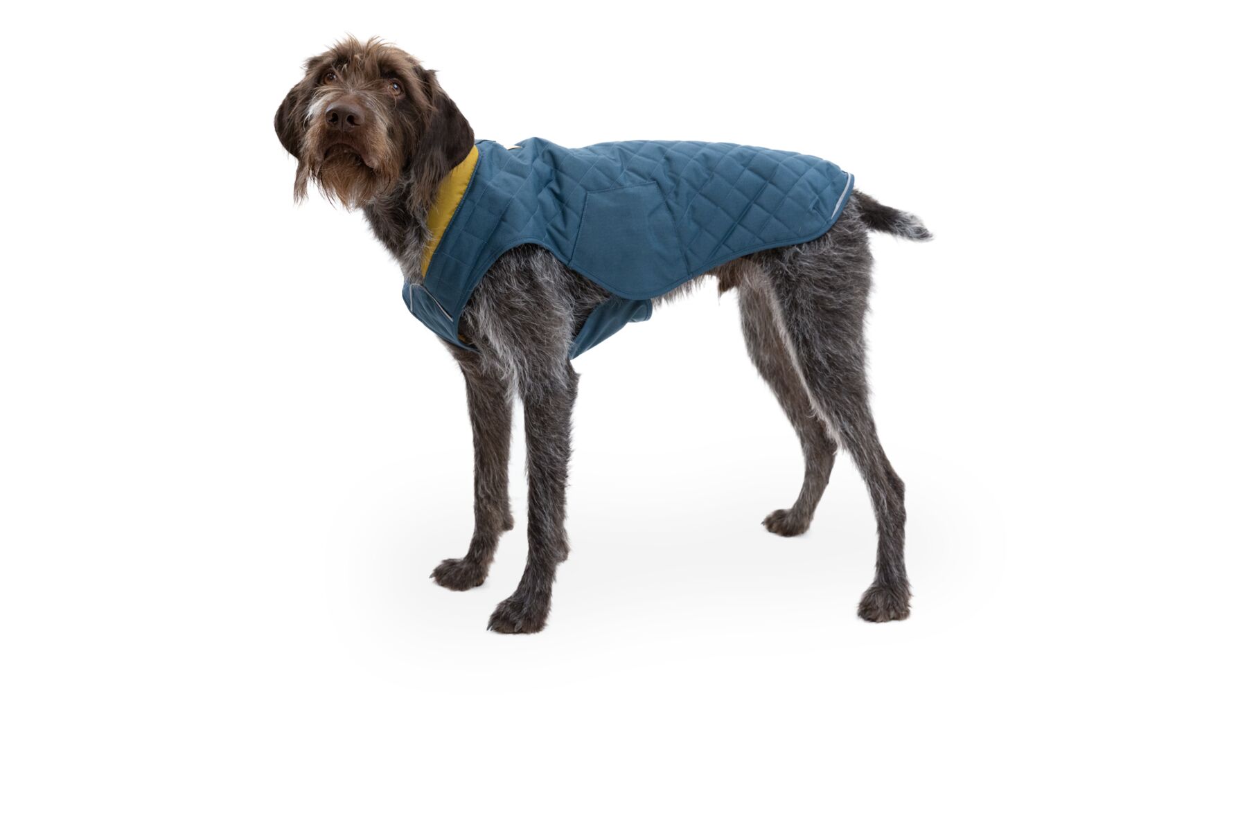 Veste matelassée stumptown™ résistant aux intempéries avec passage pour laisse. Couleur: orion blue (bleu marine), taille: xs