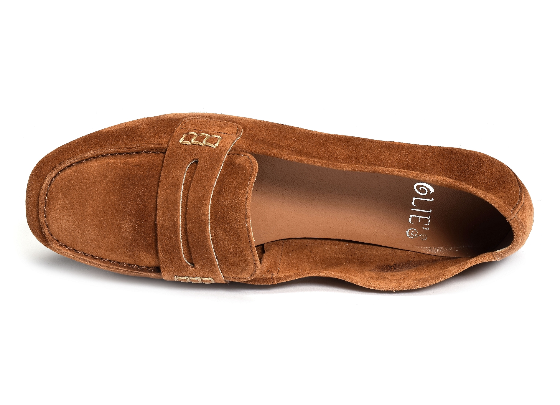 Hiton camel