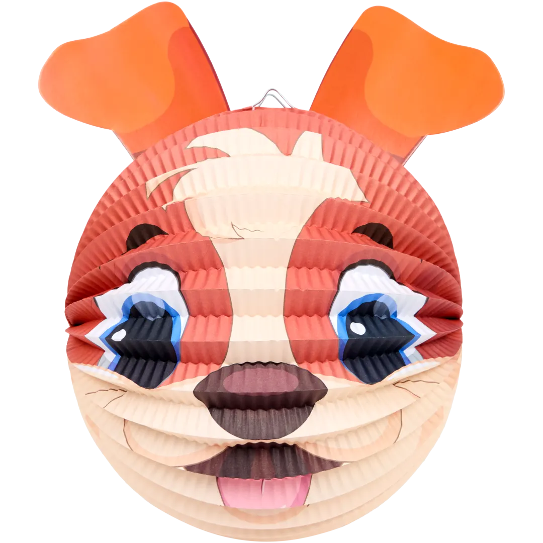 Lampion Diverse varianten