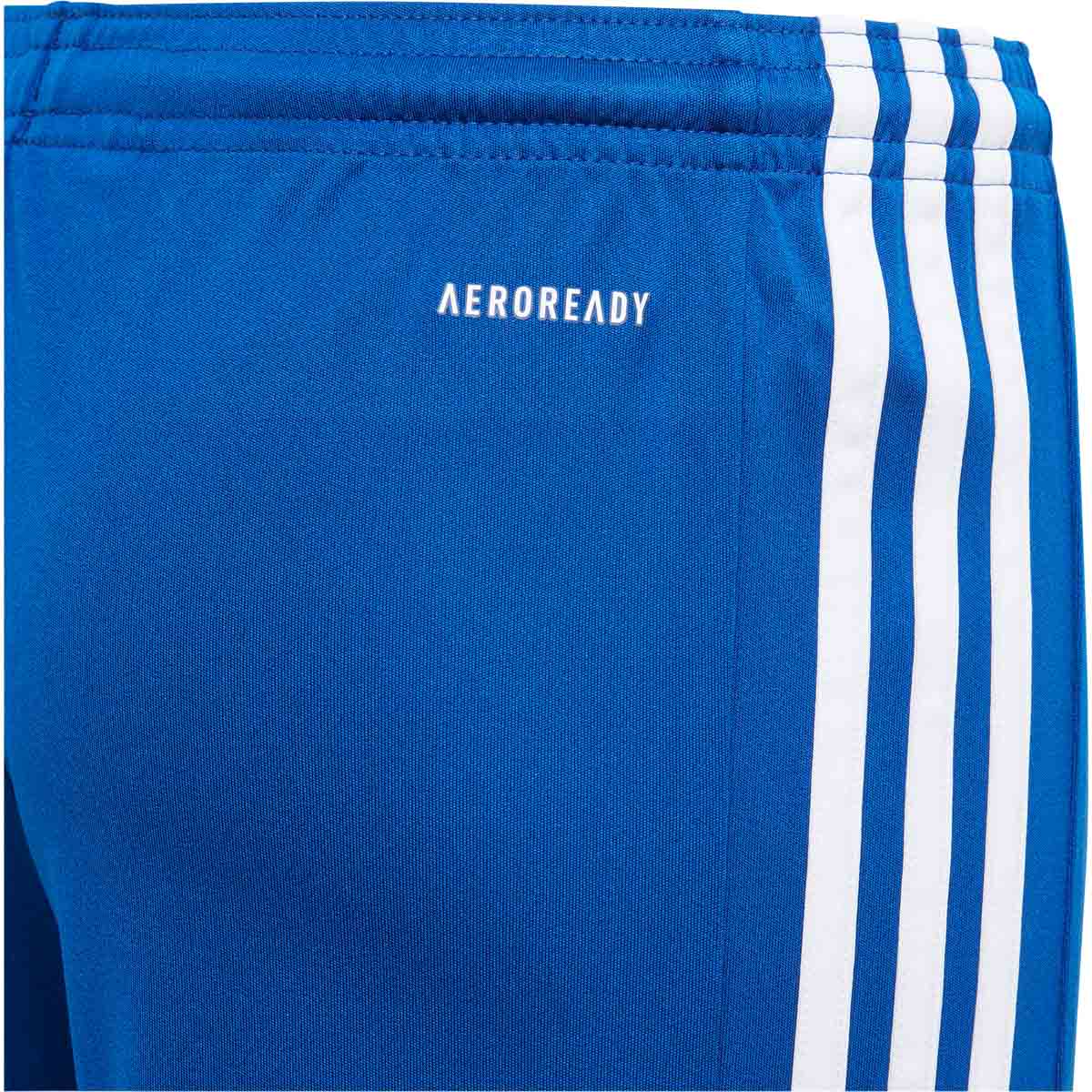 adidas Squad 21 Træningsshorts Herre