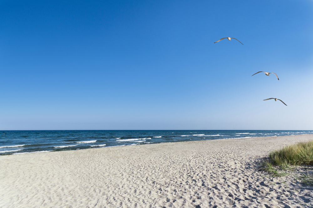 Akustikbild EINSAMER STRAND 80x120cm, 7kg