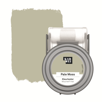 KARWEI Kleurtester muurverf mat 55ml pale moss