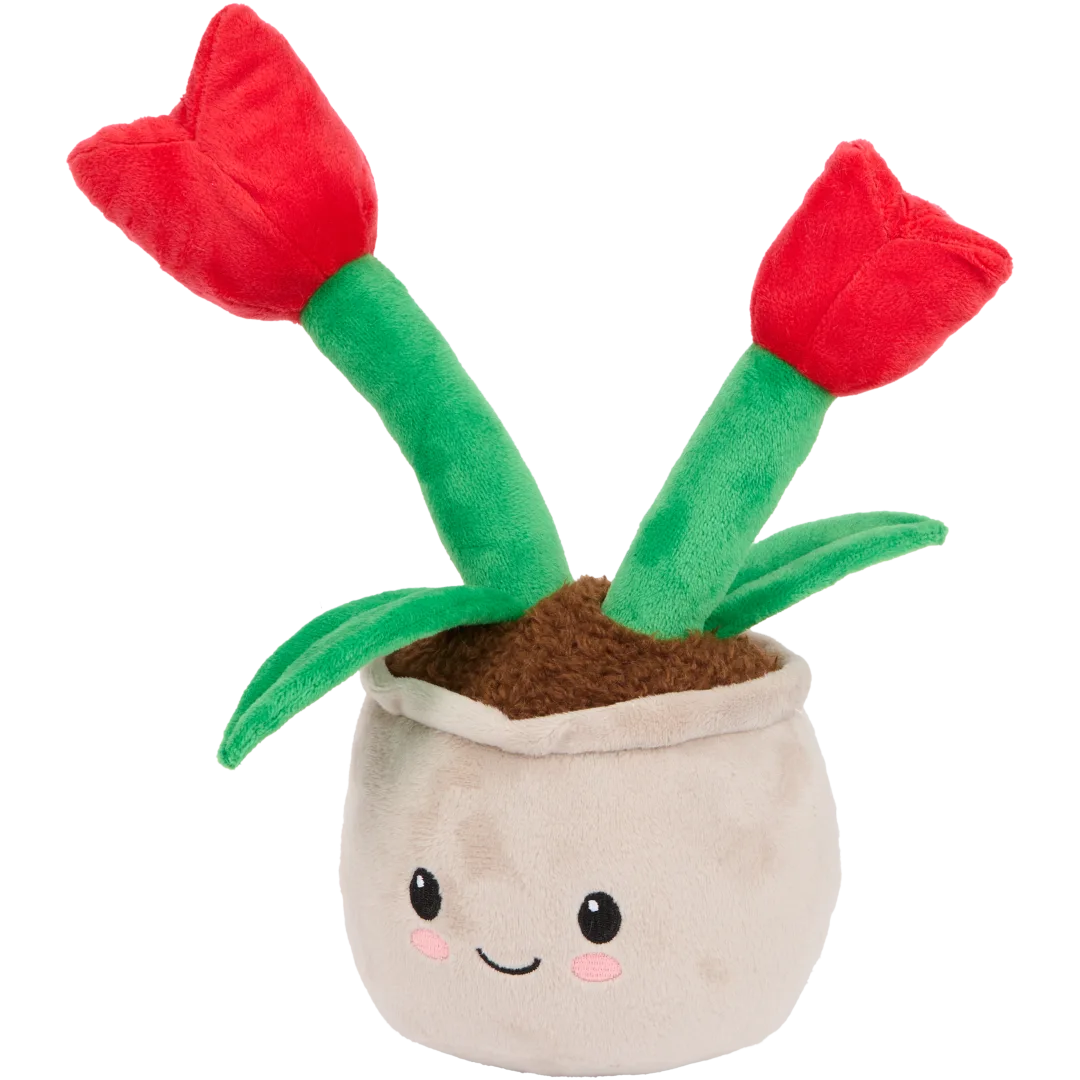 Pluchen plant in pot Diverse varianten