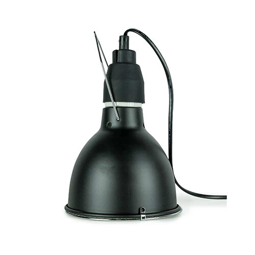 Back Zoo Nature Bird Sun UV-Lamp