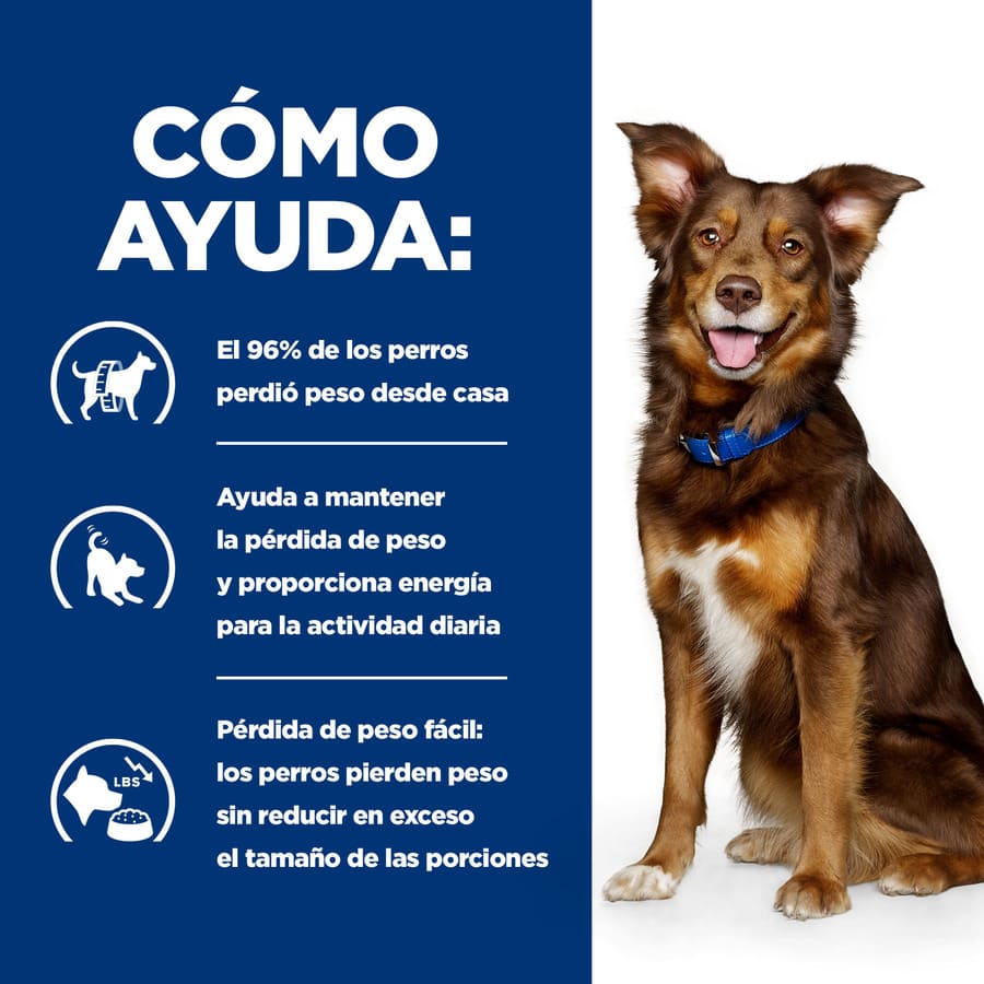 Ração Hill's Prescription Diet Metabolic com Cordeiro e Arroz para Cães