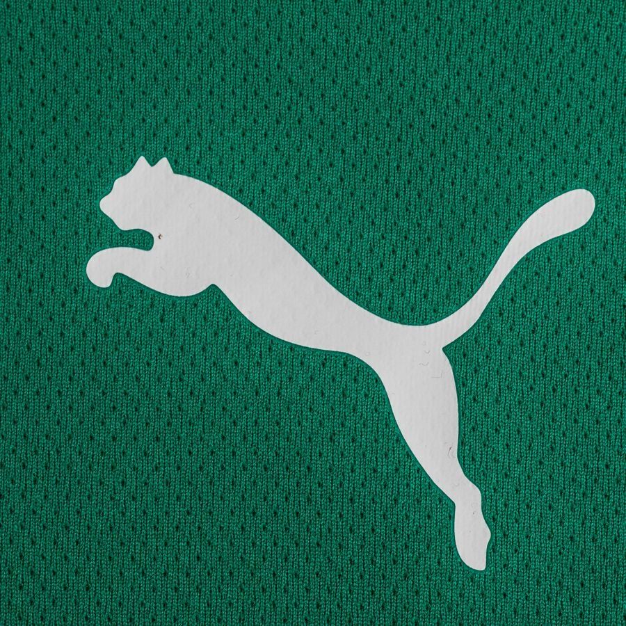 PUMA Maillot teamRISE - Vert/Noir/Blanc
