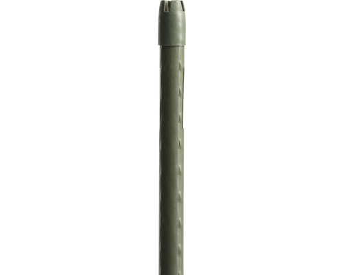 FloraSelf plantenstok H 120 cm Ø 11 mm groen