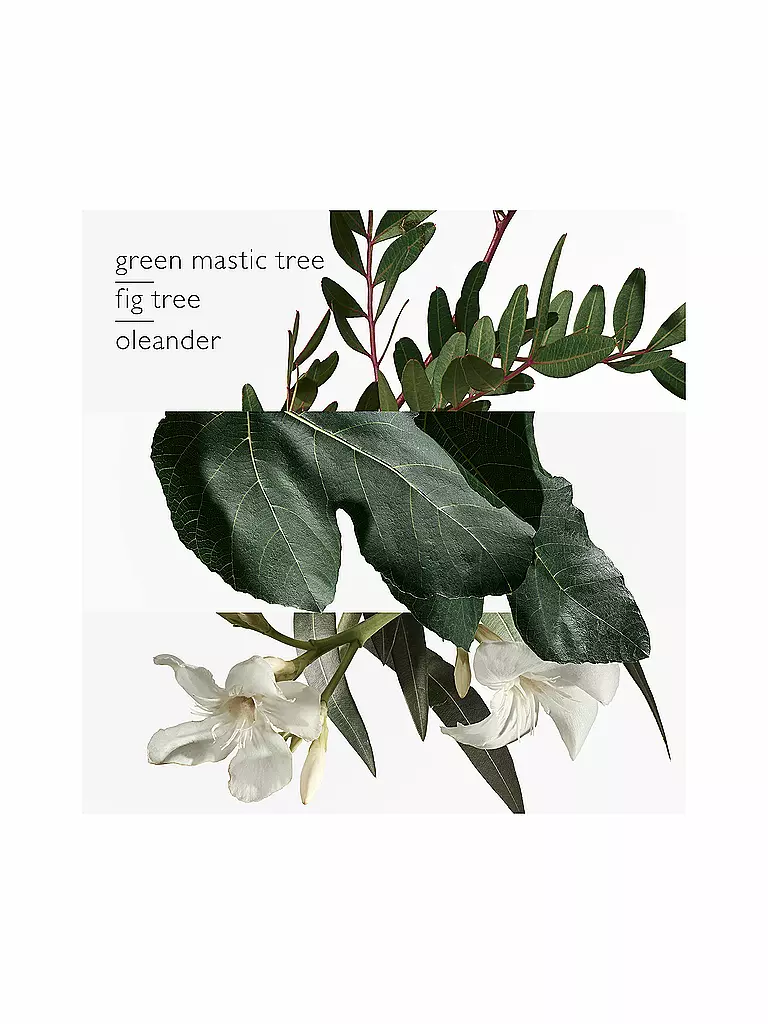 HERMÈS Un Jardin en Méditerranée Eau de Toilette 50 ml keine Farbe