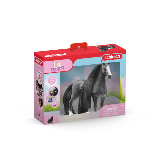 HORSE CLUB - Beauty Horse - Quarter Horse Stute
