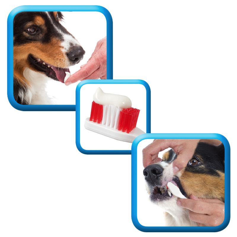 Dentifrice beaphar Dog-A-Dent à prix discount sur bitiba.fr